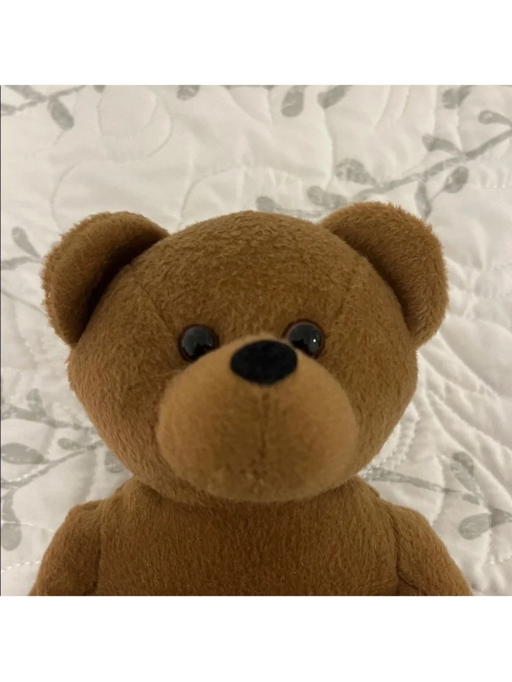 UCLA Brown Plush Teddy Bear - Embroidered Logo Kids Stuffed Animal